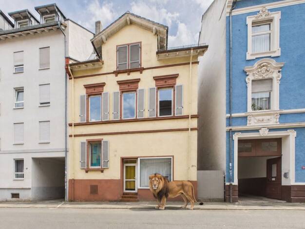 Mehrfamilienhaus zum Kauf 880.000 € 16 Zimmer 309 m² 363 m² Grundstück Darmstadt Darmstadt 64289