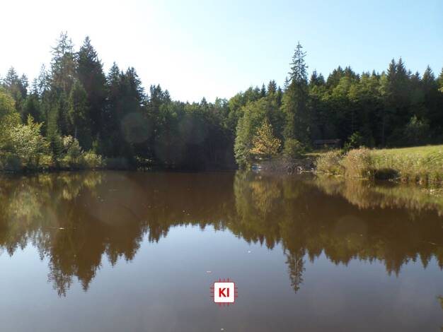 Freizeitgrundstück zum Kauf 250.000 € 17.680 m² Grundstück Dießen Dießen am Ammersee 86911
