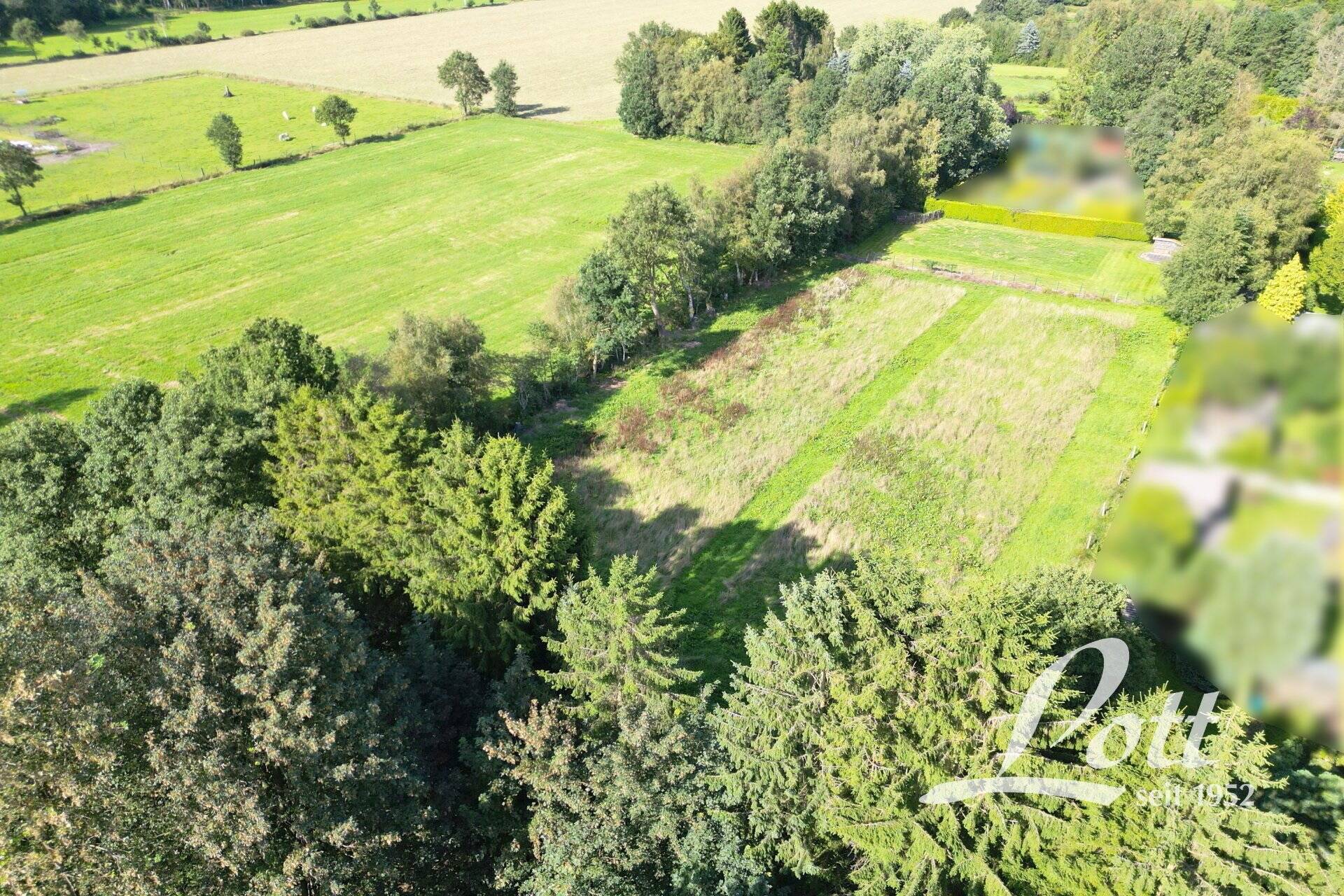 Land-/Forstwirtschaft zum Kauf - Ansicht 4