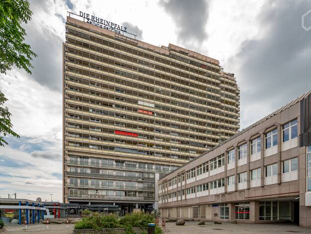 Wohnung zur Miete Wohnen auf Zeit 1.350 € 2 Zimmer 46 m² frei ab 01.08.2026 Mitte Ludwigshafen am Rhein 67059