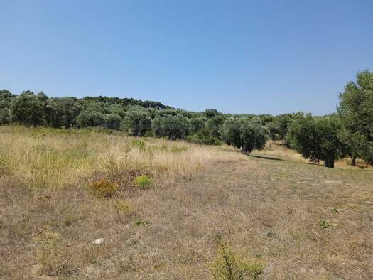 Grundstück zum Kauf 370.000 € Kalandra