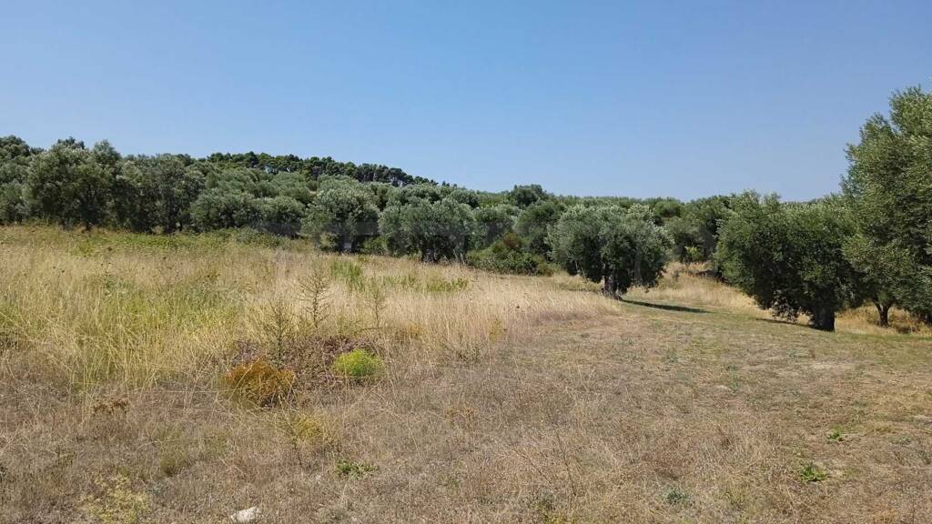 Grundstück zum Kauf 370.000 € Kalandra