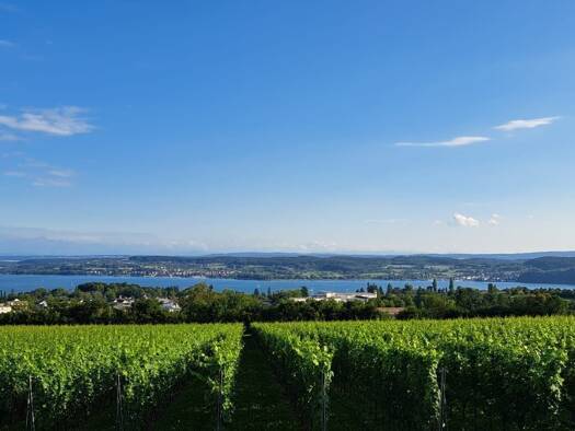 Wohnung zum Kauf 4 Zimmer 78 m² 2. Geschoss frei ab sofort Haueneberstein Baden-Baden 76532