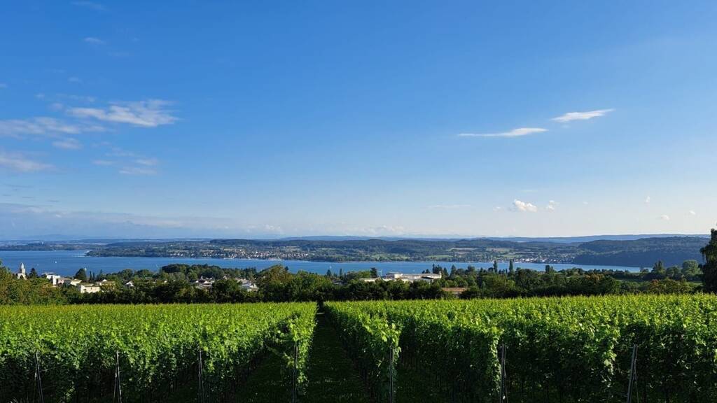 Wohnung zum Kauf 4 Zimmer 78 m² 2. Geschoss frei ab sofort Haueneberstein Baden-Baden 76532