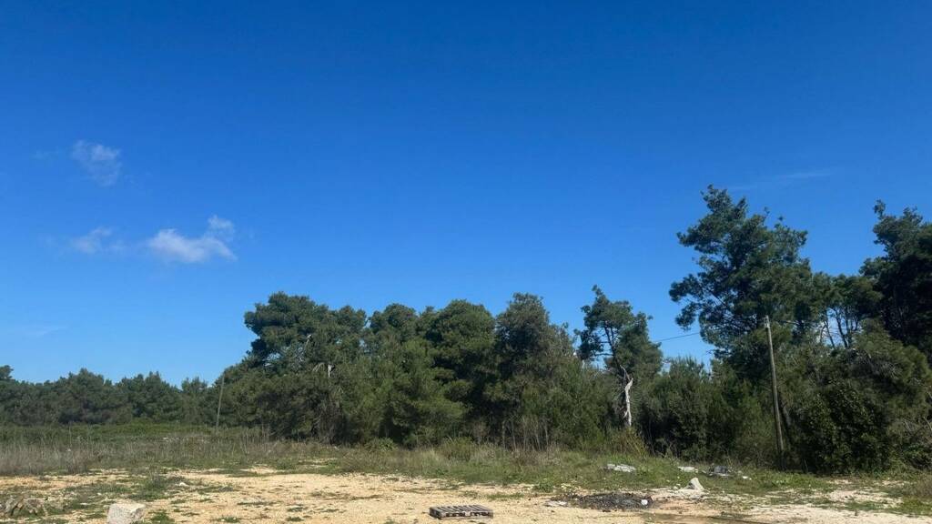 Land-/Forstwirtschaft zum Kauf 60.000 € Vir