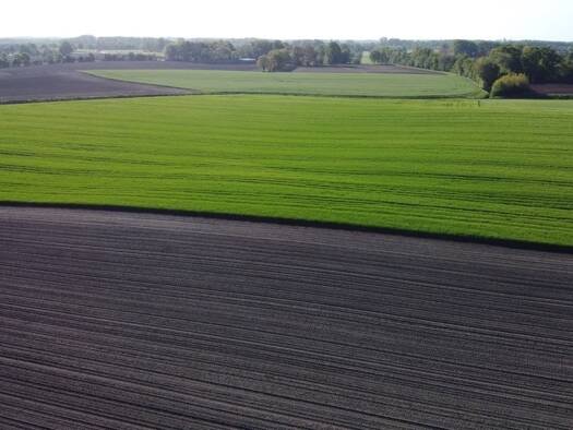 Land-/Forstwirtschaft zum Kauf 230.988 € 19.249 m² Grundstück Ehingen 86678