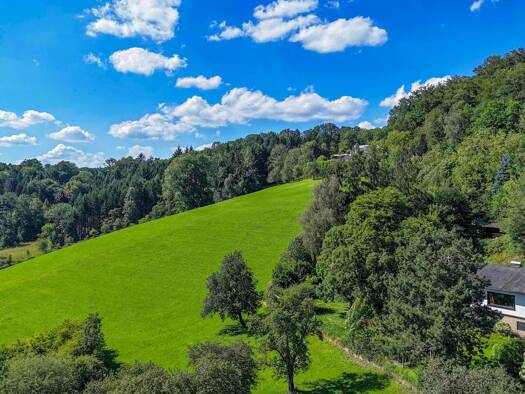 Grundstück zum Kauf 1.770.000 € 3.935 m² Grundstück Puchenau 4048