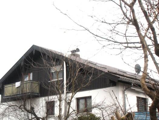 Wohnung zur Miete 720 € 2 Zimmer 60 m² Geschoss 2/3 frei ab 01.05.2026 Brannenburg 83098