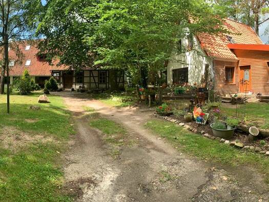 Gewerbeobjekt zum Kauf als Kapitalanlage geeignet 520.000 € 1.195 m² 10.754 m² Grundstück Lüsche Steinhorst 29367