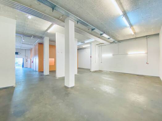 Lagerhalle zur Miete 10 € 218 m² Lagerfläche Salzburg Salzburg 5020