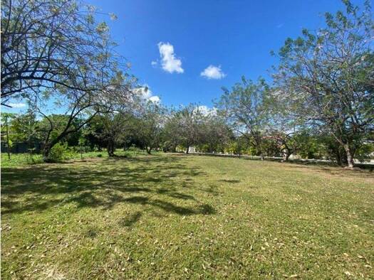 Grundstück zum Kauf 79.693.400 € Chame