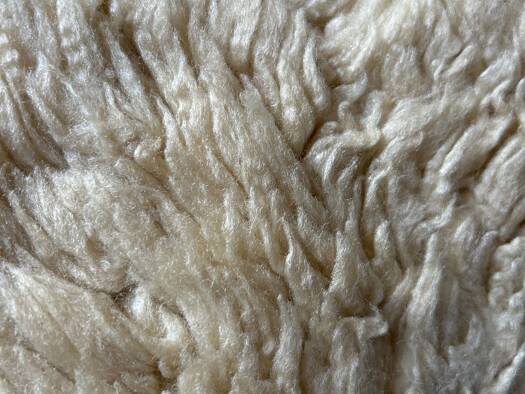 WG-Zimmer zur Miete 600 € 2,5 Zimmer 55 m² Geschoss 1/2 frei ab sofort Lohmannstraße Rekum Bremen 27568