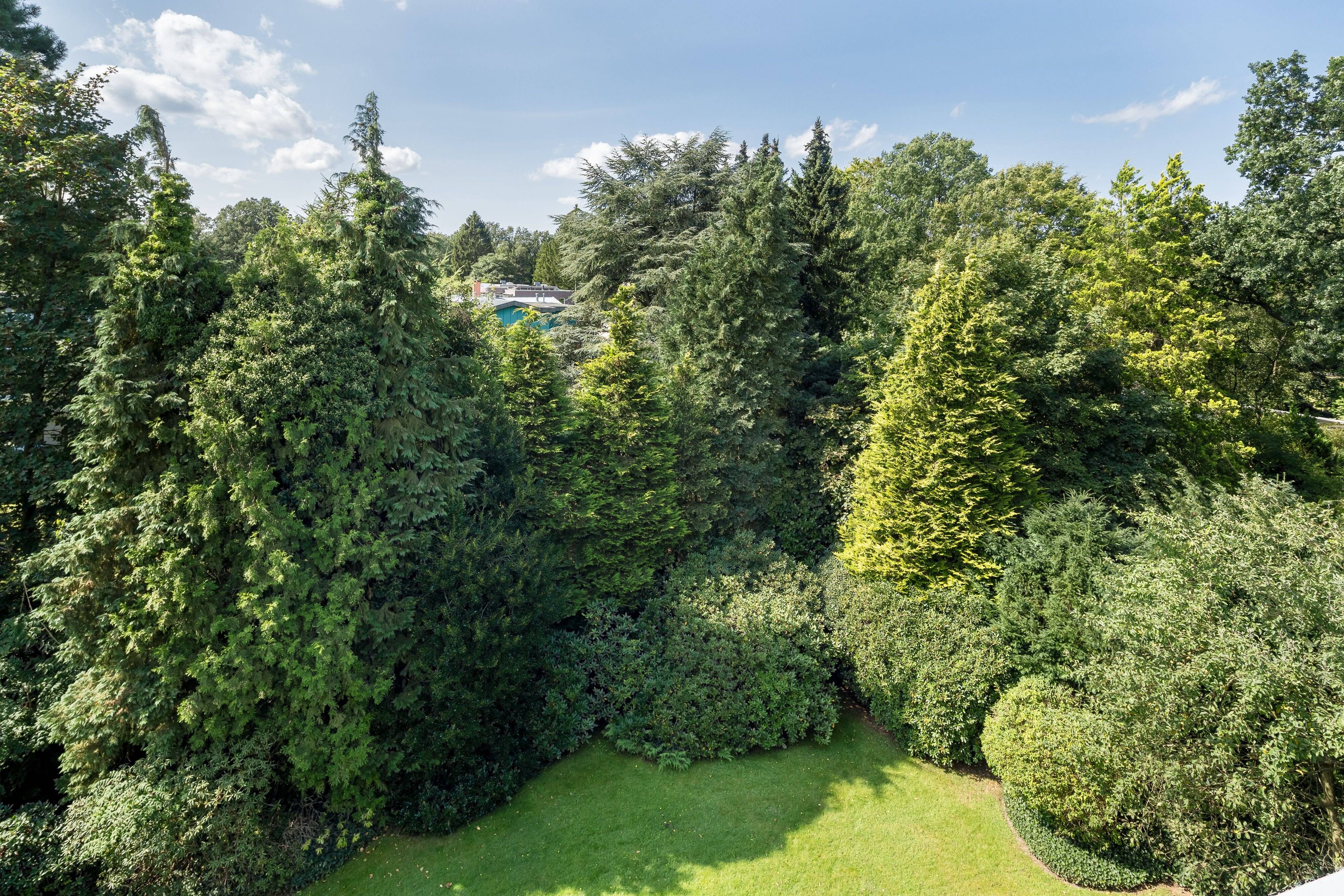 Property thumbnail 26