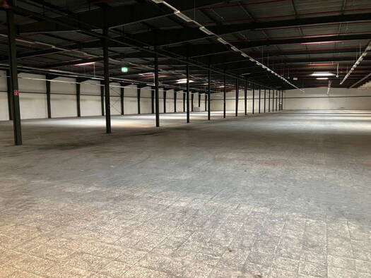 Lagerhalle zur Miete provisionsfrei 20.000 m² Lagerfläche Aschendorf Papenburg 26871