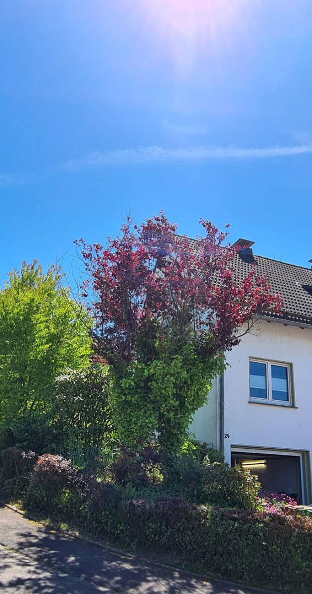 Wohnung zur Miete 380 € 2 Zimmer 40 m² EG frei ab 01.08.2025 Karlsbader Straße 24 Karlskamp Gummersbach 51643