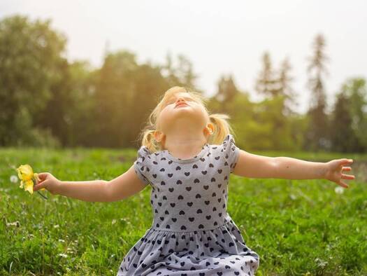 Grundstück zum Kauf 135.000 € 900 m² Grundstück Neudrossenfeld 95512