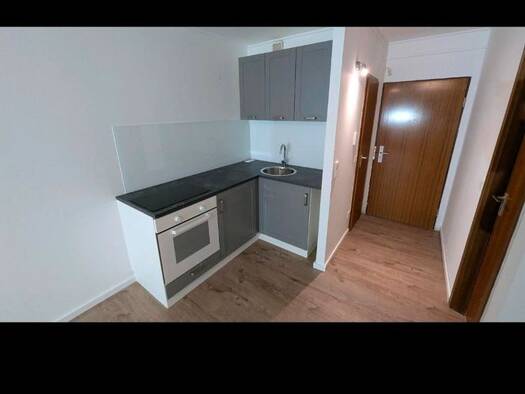 Wohnung zur Miete 700 € 1 Zimmer 37 m² frei ab sofort Offenbach am Main 63069