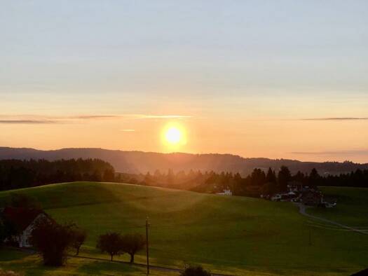 Wohnung zum Kauf provisionsfrei 455.000 € 3 Zimmer 83,3 m² 1. Geschoss frei ab sofort Am Lindenbühl 3 Oberreute 88179