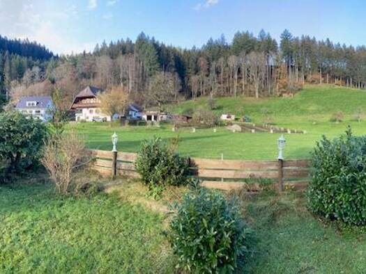 Hotel zum Kauf provisionsfrei 450.000 € 15 Zimmer 250 m² Gastrofläche 2.300 m² Grundstück Schapbach Bad Rippoldsau-Schapbach 77776
