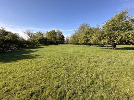 Land-/Forstwirtschaft zum Kauf 90.000 € 14.428 m² Grundstück Meckenheim Meckenheim 53340