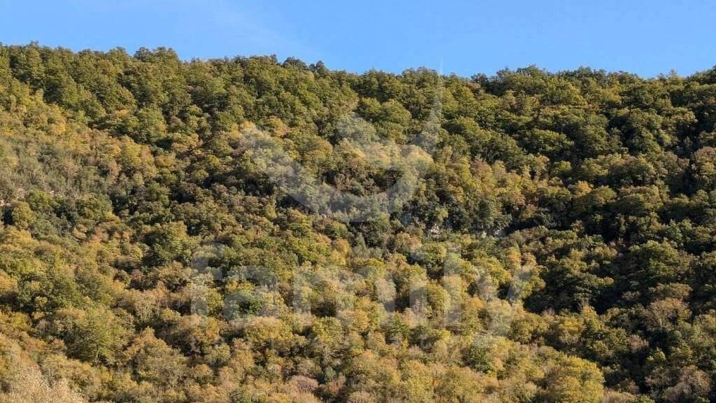 Land-/Forstwirtschaft zum Kauf 14.199 € Barban