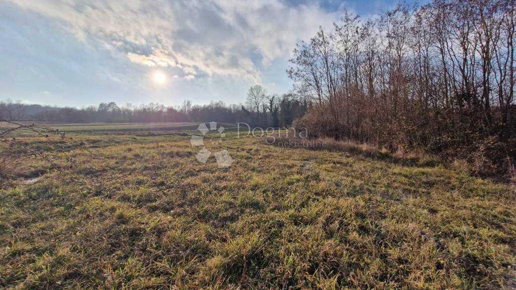 Land-/Forstwirtschaft zum Kauf 130.000 € Zminj