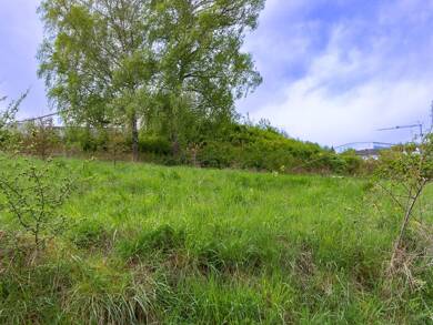 Grundstück zum Kauf 220.000 € 2.000 m² Grundstück Michelbach Aarbergen 65326