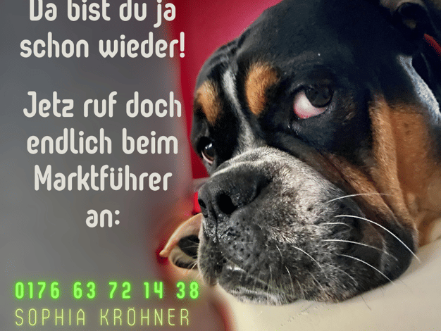 Einfamilienhaus zum Kauf 273.229 € 5 Zimmer 113 m² 530 m² Grundstück Dittmannsdorf Reinsberg 09629