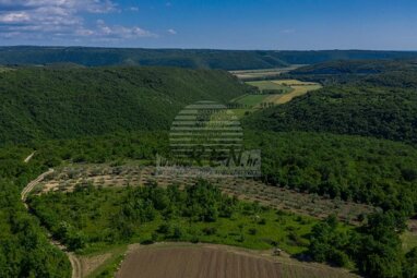 Land-/Forstwirtschaft zum Kauf 99.000 € Buje center