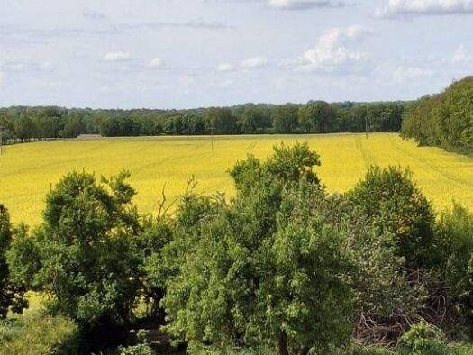 Einfamilienhaus zum Kauf 349.000 € 9 Zimmer 220 m² 1.997 m² Grundstück Herzfeld 19372