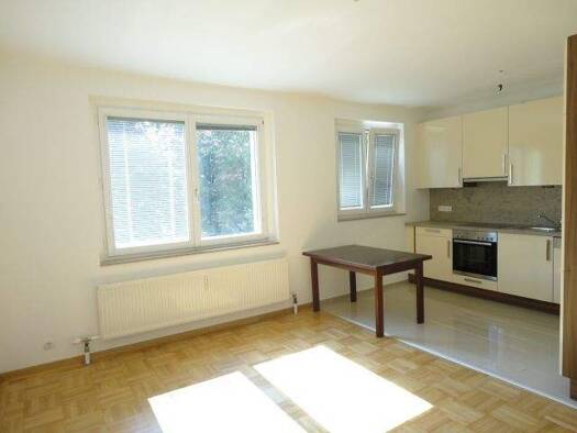 Wohnung zur Miete 15,22 € 2 Zimmer 49 m² 2. Geschoss frei ab sofort Mödling 2340