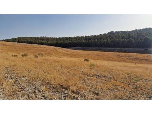 Acker-/Waldstück zum Kauf 300.000 € Santa Fe 18320