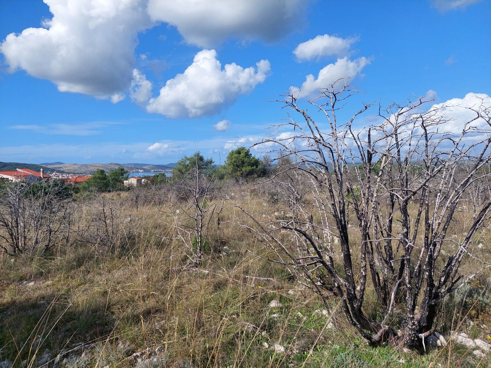 Land-/Forstwirtschaft zum Kauf 70.000 € Sibenik