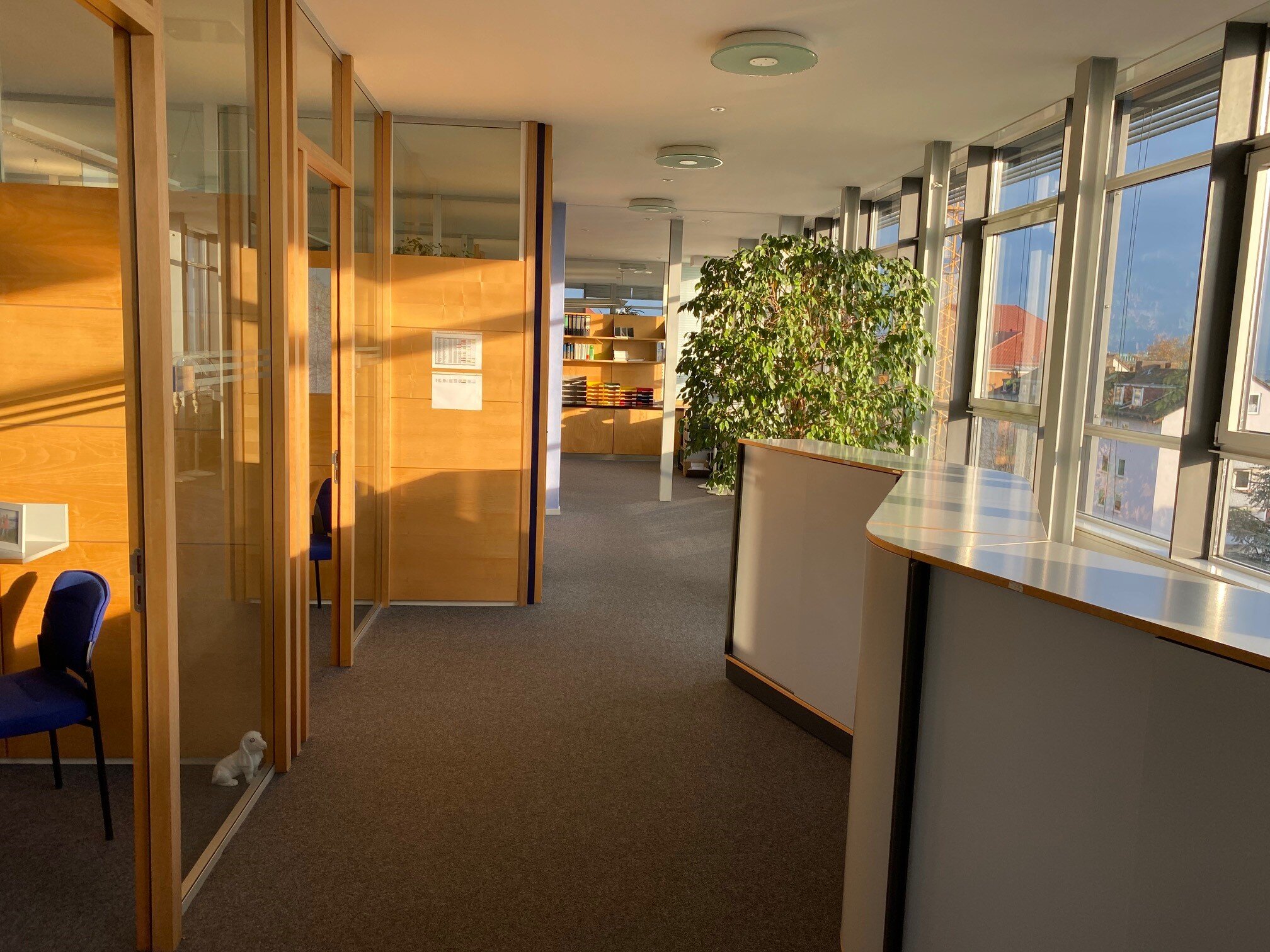 Büro-/Praxisfläche zur Miete provisionsfrei 530 m²<br/>Bürofläche von 250 m² bis 2.450 m²<br/>Teilbarkeit Westend Kassel 34119