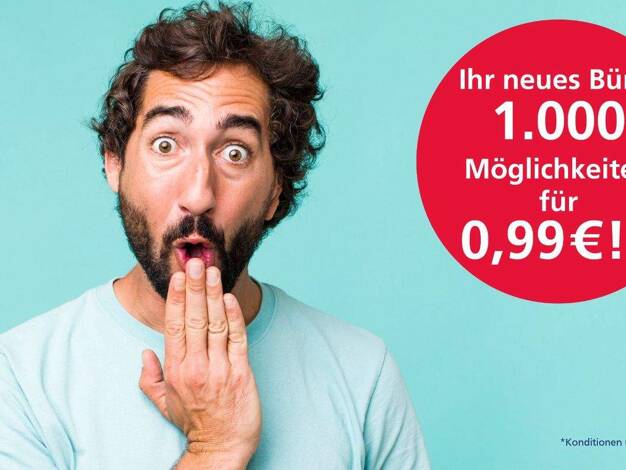 Bürofläche zur Miete provisionsfrei 4.512 € 694 m² Bürofläche Industriestraße Alzenau 63755