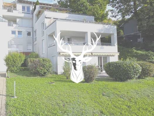 Wohnung zur Miete 860 € 3 Zimmer 78 m² frei ab sofort Waldshut Waldshut-Tiengen 79761