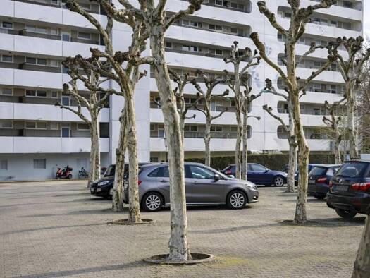Wohnung zum Kauf 119.000 € 2 Zimmer 70 m² Dietzenbach Dietzenbach 63128