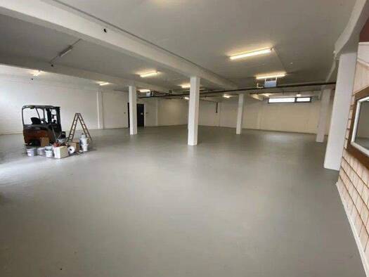 Lagerhalle zur Miete 1.200 m² Lagerfläche Billbrook Mitte 22113