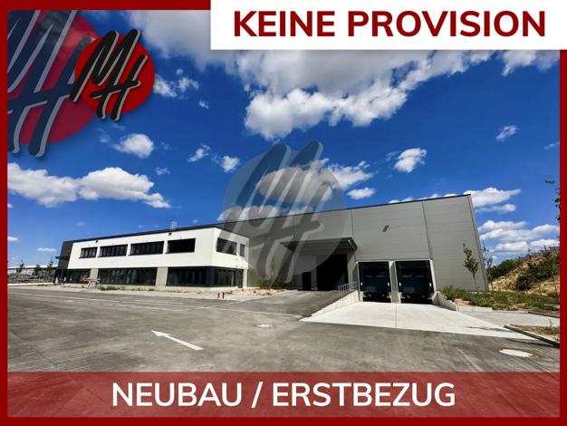 Halle/Industriefläche zur Miete - Erstbezug provisionsfrei 6.500 m² Lagerfläche Vogelstang Mannheim 68309