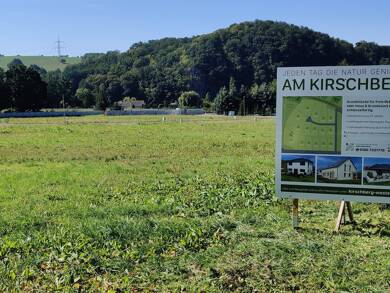 Grundstück zum Kauf provisionsfrei 63.810 € 709 m² Grundstück Großweitzschen Großweitzschen 04720