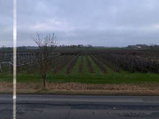 Wohnung zur Miete 900 € 3 Zimmer 85 m² Geschoss EG/1 frei ab sofort Borstel Jork 21635