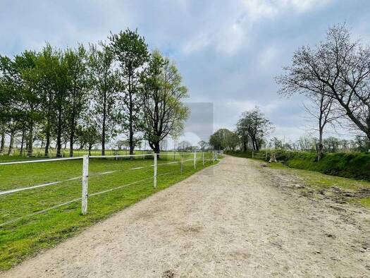 Einfamilienhaus zum Kauf 799.000 € 6 Zimmer 280 m² 43.000 m² Grundstück Oldersbek 25873