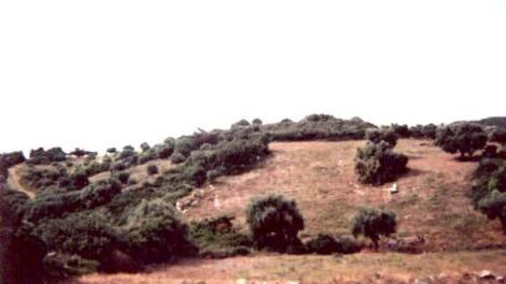 Grundstück zum Kauf 25.500 € 5.000 m² Grundstück Kalamata neu