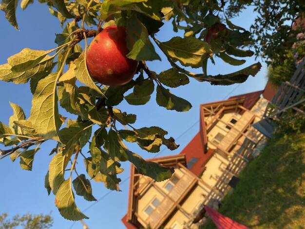 Haus zum Kauf 1.190.000 € Weichselbaum 8382