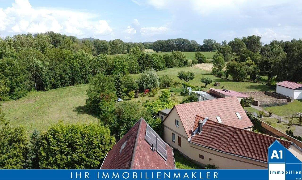 Immobilie in Wettin-Löbejün - Einfamilienhaus mit Nebengelass auf einem großen und von viel Grün umgebenen Grundstück am Ortsrand von Nauendorf - Bild 0