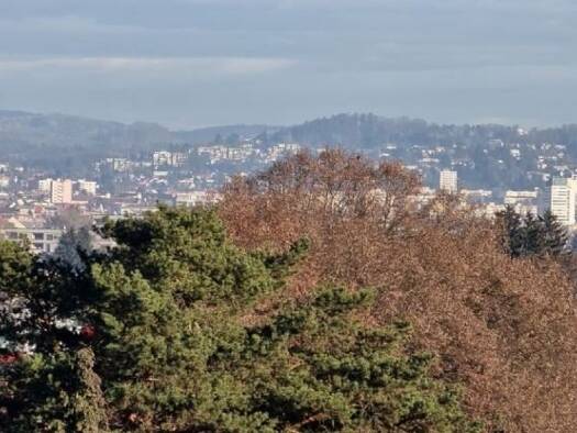 Einfamilienhaus zum Kauf 500.000 € 4 Zimmer 150 m² 1.000 m² Grundstück GRAZ,oder nähere UMGEBUNG