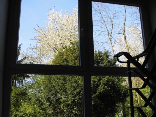 Wohnung zur Miete 900 € 3,5 Zimmer 67 m² Geschoss EG/3 frei ab sofort Voßwiese 40 Mitte Gladbeck 45964