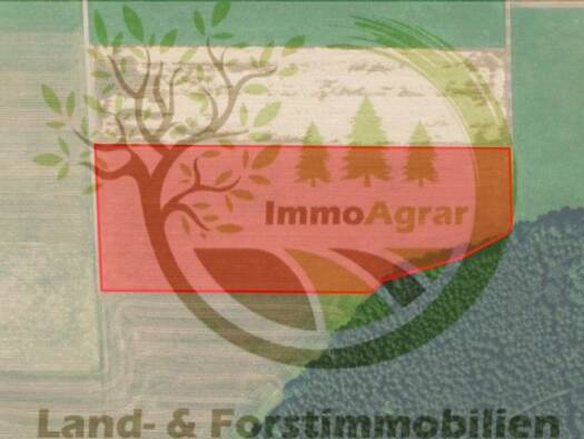 Landwirtschaftliche Fläche zum Kauf 10,60 € 25.056 m² 25.056 m² Grundstück Oberegg Unteregg 87782