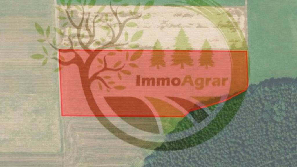 Landwirtschaftliche Fläche zum Kauf 10,60 € 25.056 m² 25.056 m² Grundstück Oberegg Unteregg 87782