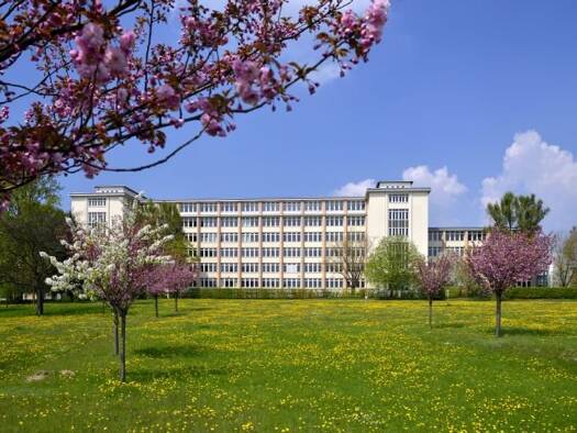Bürofläche zur Miete provisionsfrei 70 m² Bürofläche teilbar ab 30 m² Hermann-Reichelt-Straße 3 a Industriegebiet Klotzsche Dresden 01109